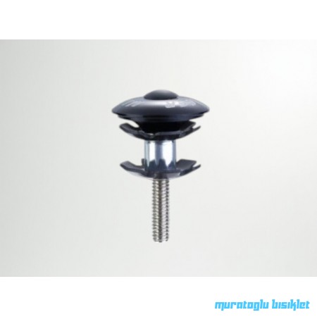 TAIWAN AMÖRTİSÖR YILDIZ