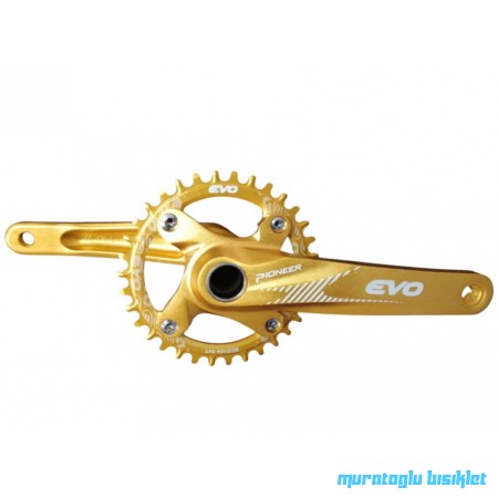 EVO Hallowtech Aynakol 34 Dişli - Gold