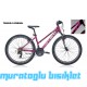26J CARRARO FORCE 601 BAYAN DAĞ BİSİKLETİ - MAT SİYAH FUŞYA - 38 KADRO
