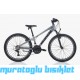 24J BİANCHI XR24.2 21V VB DAĞ BİSİKLETİ - GRİ/SİYAH - 31