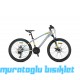 24J KRON XC75 DAĞ BİSİKLETİ - NARDO GRİ NEON SARI SİYAH MAVİ - 33 KADRO
