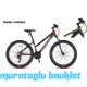 27.5J KRON XC 100 LADY DAĞ BİSİKLETİ - SİYAH GRİ NEON SARI- 38 KADRO